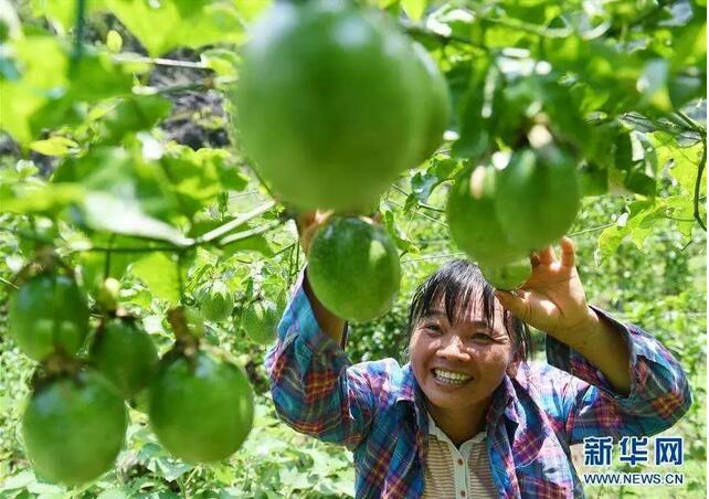 人社部、國(guó)務(wù)院扶貧辦聯(lián)合開(kāi)展深度貧困地區(qū)技能扶貧行動(dòng)