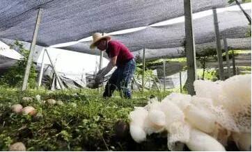 人社部、國(guó)務(wù)院扶貧辦聯(lián)合開(kāi)展深度貧困地區(qū)技能扶貧行動(dòng)