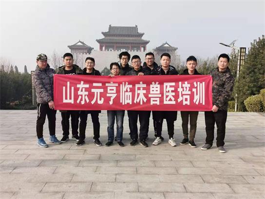 想當獸醫(yī)要學(xué)什么？   