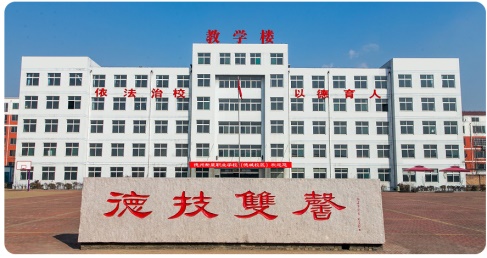 德州計算機學校都學什么？