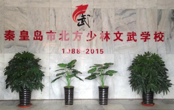 秦皇島北方少林文武學(xué)校就業(yè)如何？這答案你放心！