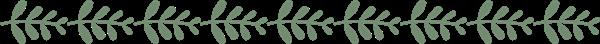 石家莊平安醫(yī)學(xué)中等專業(yè)學(xué)校地址在哪？