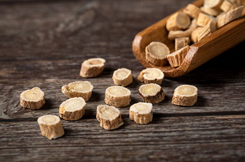 能學(xué)中藥專業(yè)的秦皇島醫(yī)藥學(xué)校有哪些？