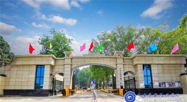 844207843620200204151202_8011 844207843620200204151202_8011