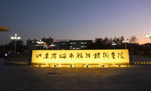 山東省城市服務技師學院有哪些專業(yè)？