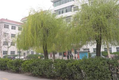 保定哪所正規(guī)的學(xué)校有鐵路專業(yè)？   