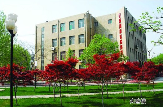 淄博市工業(yè)學(xué)校開設(shè)哪些計(jì)算機(jī)課程？