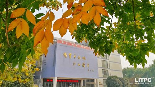 洛陽學(xué)電子商務(wù)去哪里？學(xué)電子商務(wù)去洛陽哪所學(xué)校？
