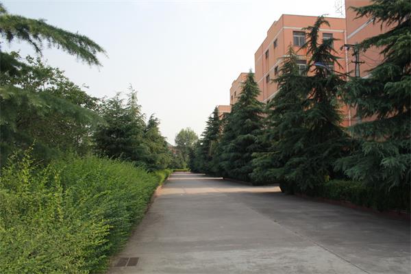 821275154420210706164306_6626 821275154420210706164306_6626