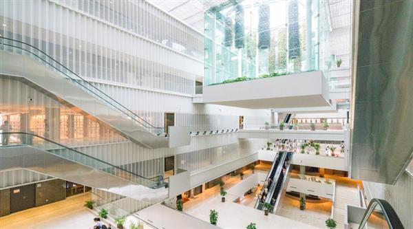 石家莊迅騰軟件學(xué)院都開設(shè)哪些專業(yè)？