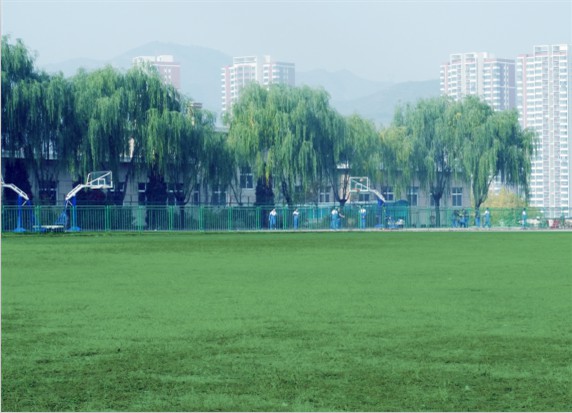 青島滿天星職業(yè)培訓(xùn)學(xué)校怎么樣？