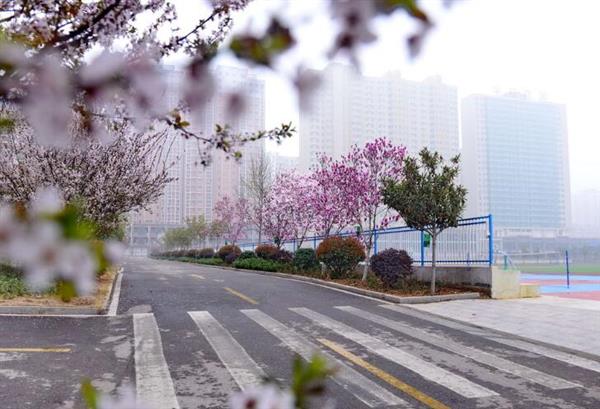河北大學新世紀函授站成人高考輔導班怎么樣？