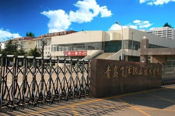 青島飛洋職業(yè)技術(shù)學(xué)院物流管理專業(yè)好嗎？