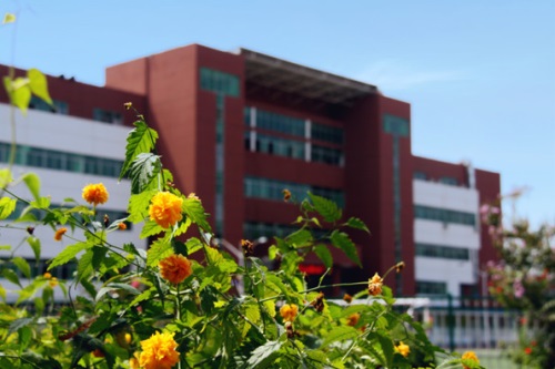 會計專業(yè)都學什么專業(yè)課程？