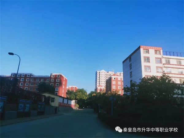 電子商務(wù)專業(yè)有哪些優(yōu)勢(shì)？