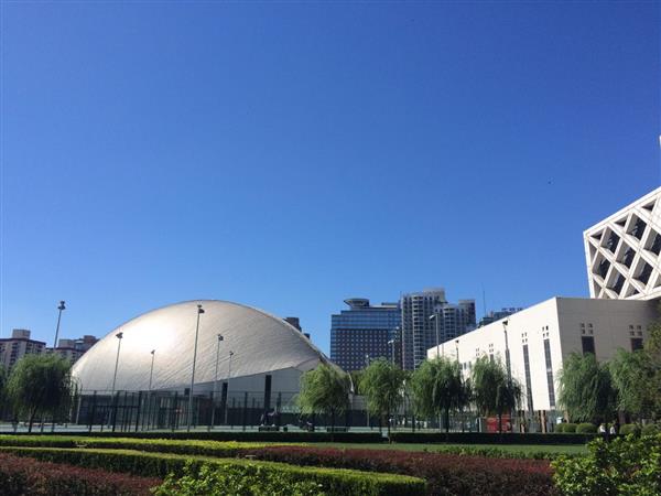 北京國際青年研修學(xué)院都開設(shè)哪些專業(yè)？