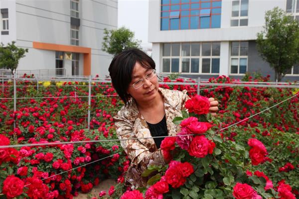 濰坊科技學院環(huán)境好嗎？