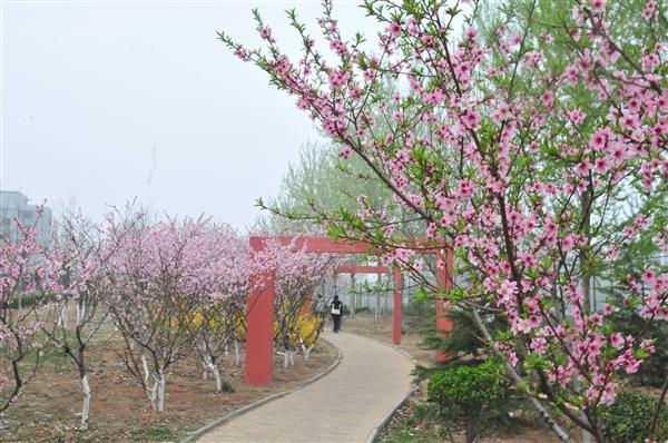 山東凱文科技職業(yè)學(xué)院都有哪些優(yōu)點(diǎn)？