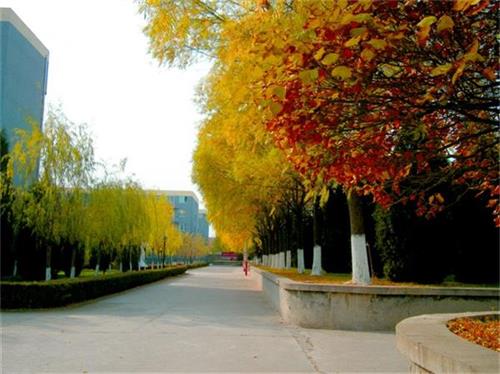 北京現(xiàn)代體育學(xué)院、航空乘務(wù)學(xué)院設(shè)施好嗎？