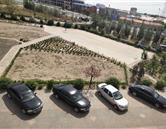 教學(xué)實(shí)踐