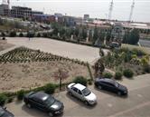 教學(xué)實(shí)踐