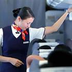 航空服務(wù)（票務(wù)、安檢方向）、航空乘務(wù)定向委培