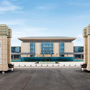 鄭州澍青醫(yī)學高等?？茖W校