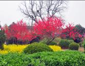 洛陽(yáng)市長(zhǎng)城中等專(zhuān)業(yè)學(xué)校